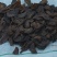 油性肉苁蓉切片泡水泡酒炖肉散装/礼盒支持一件代发