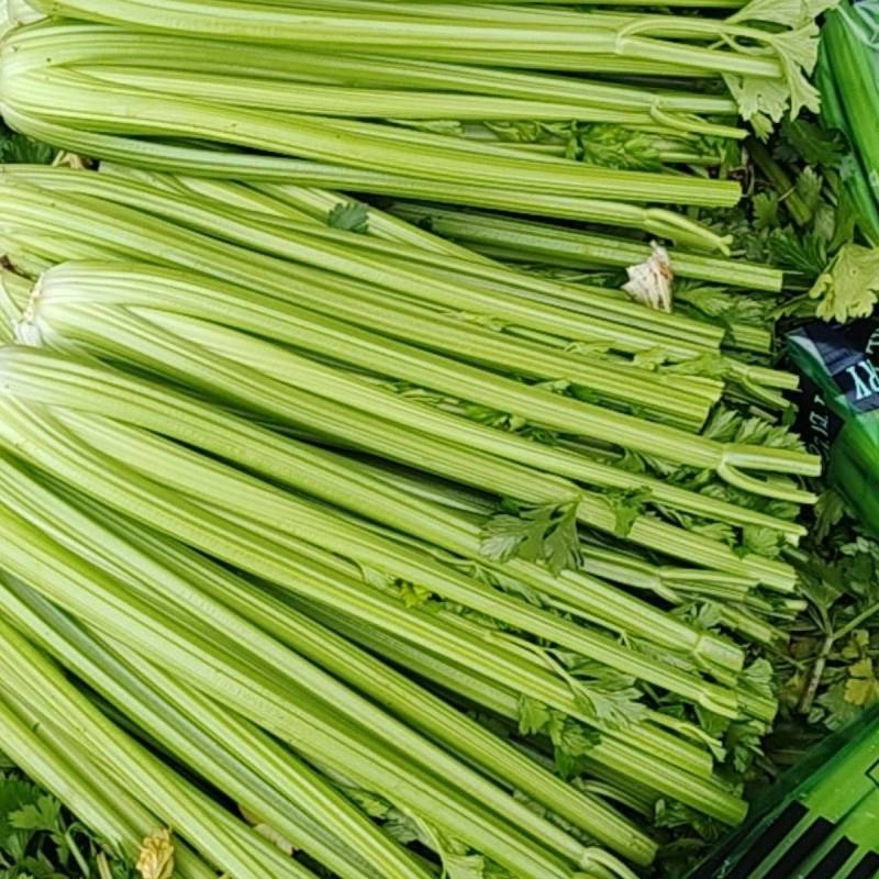 西芹量大价优，全国对接发出口市场档口，电商食堂各平台