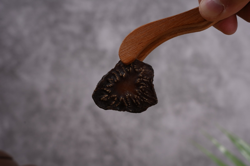 油性肉苁蓉切片泡水泡酒炖肉散装/礼盒支持一件代发