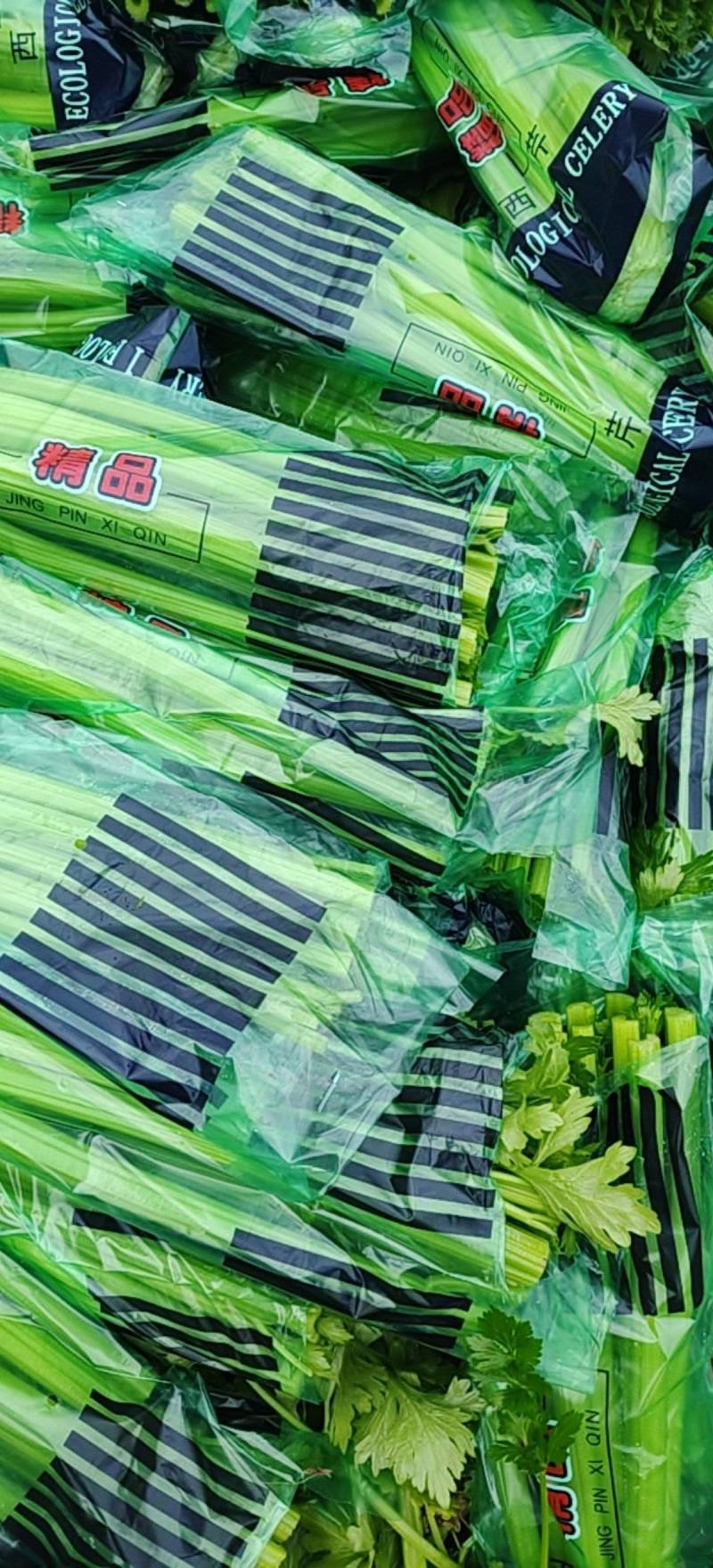 西芹量大价优，全国对接发出口市场档口，电商食堂各平台