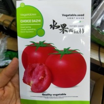 水果西红柿种子早熟果色鲜红口感好果皮厚酸甜适中南北均可种