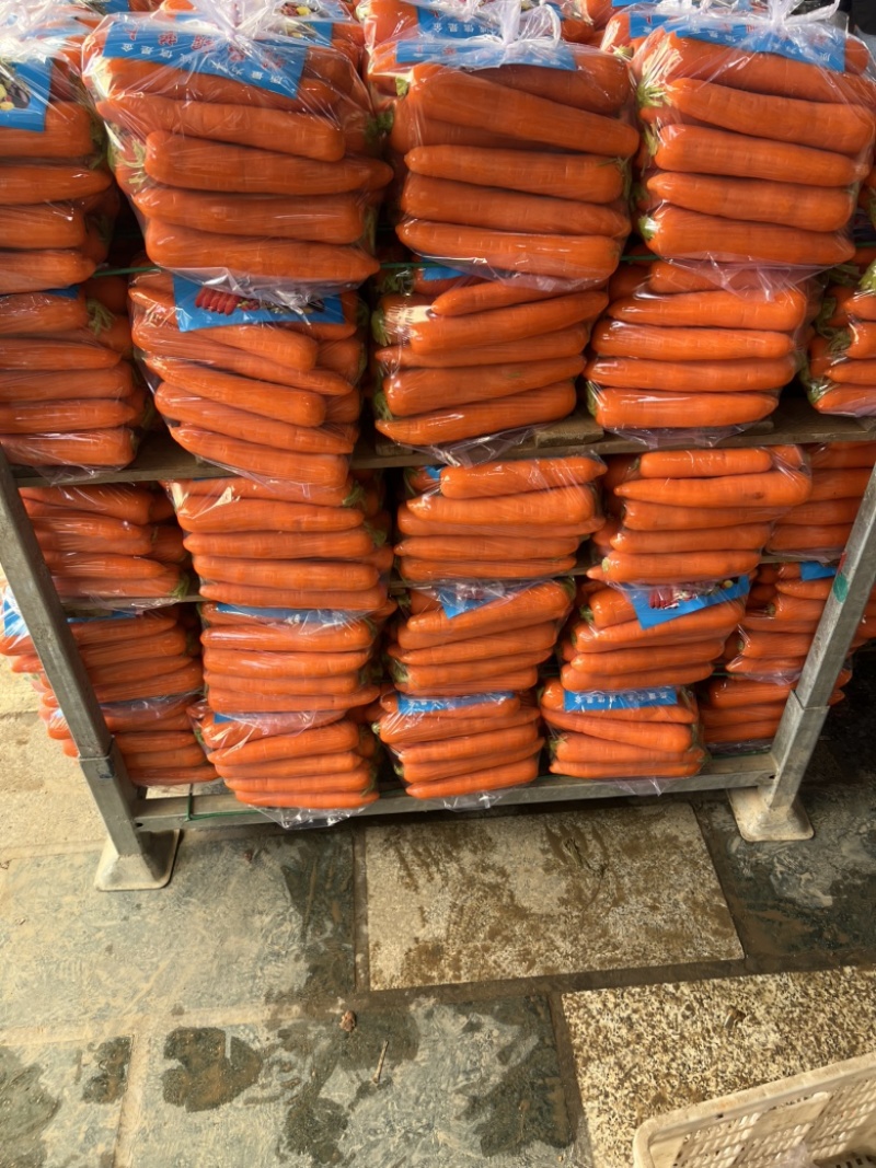 【实力商家】精品胡萝卜，胡萝卜产地直发，质量保证质量三包