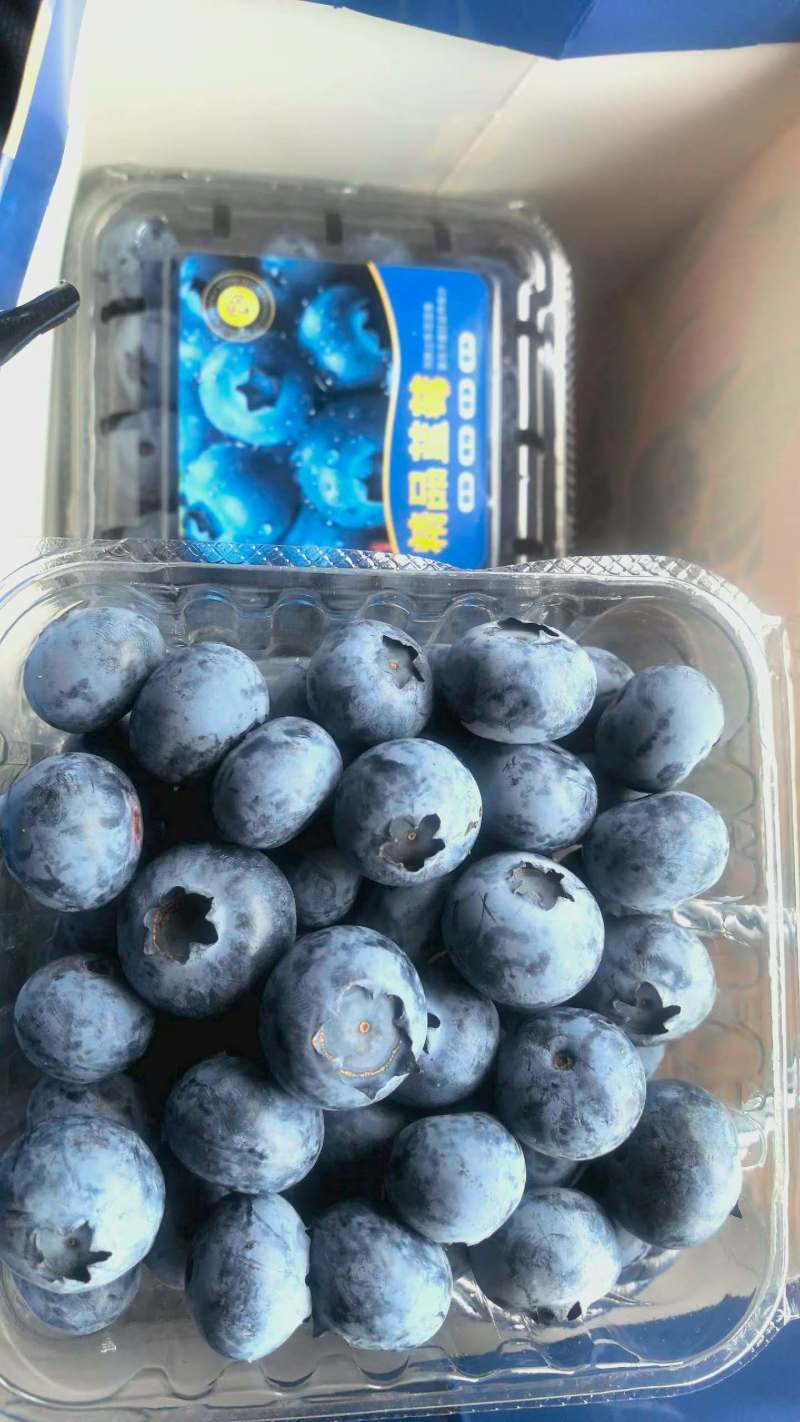 电商**:精品蓝莓。新品上市。各种规格。可定制，加工。