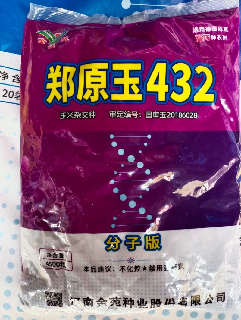 郑原玉432抗倒矮杆玉米高产玉米种子大田春夏播白轴杂交
