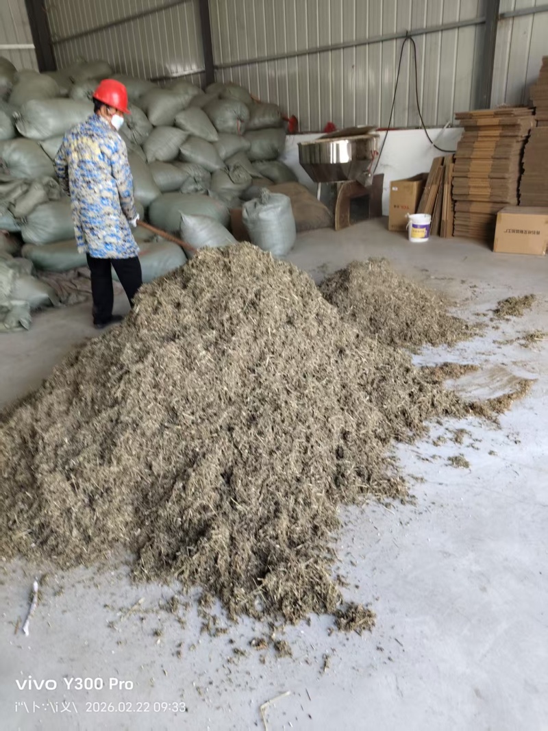 原生龩艾，自家种植晾晒，量大从优，秒发货！