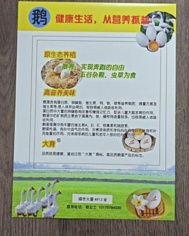 散养鹅蛋