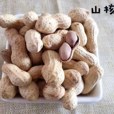 福建闽西特产龙岩花生
