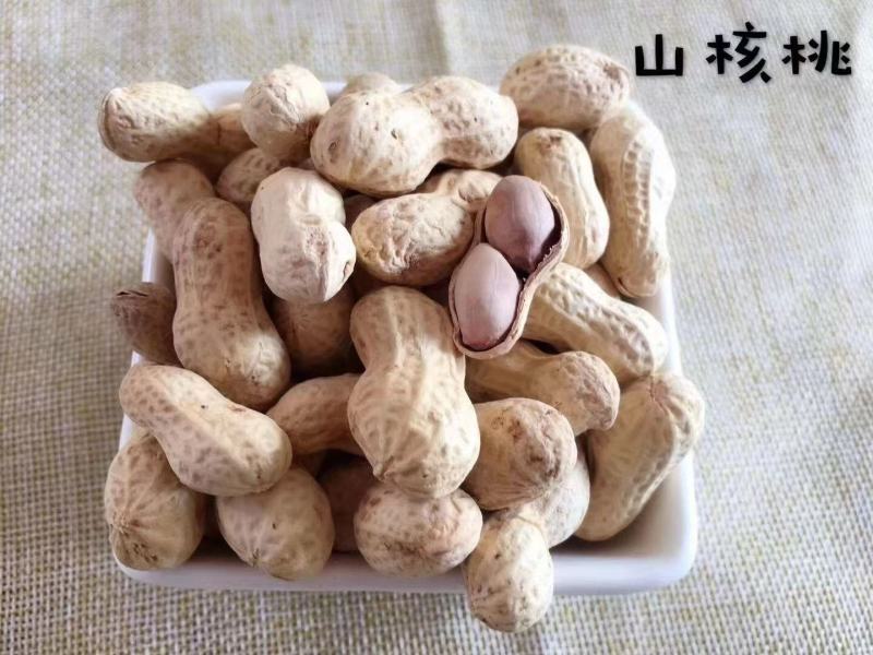 福建闽西特产龙岩花生