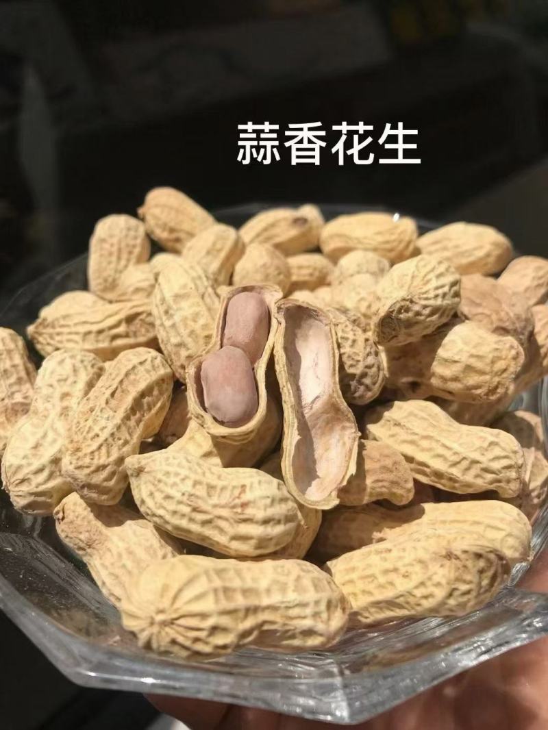 福建闽西特产龙岩花生
