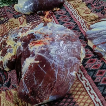 正宗土黄牛肉冷鲜排酸黄膘肉香纯干不注水长期稳定供