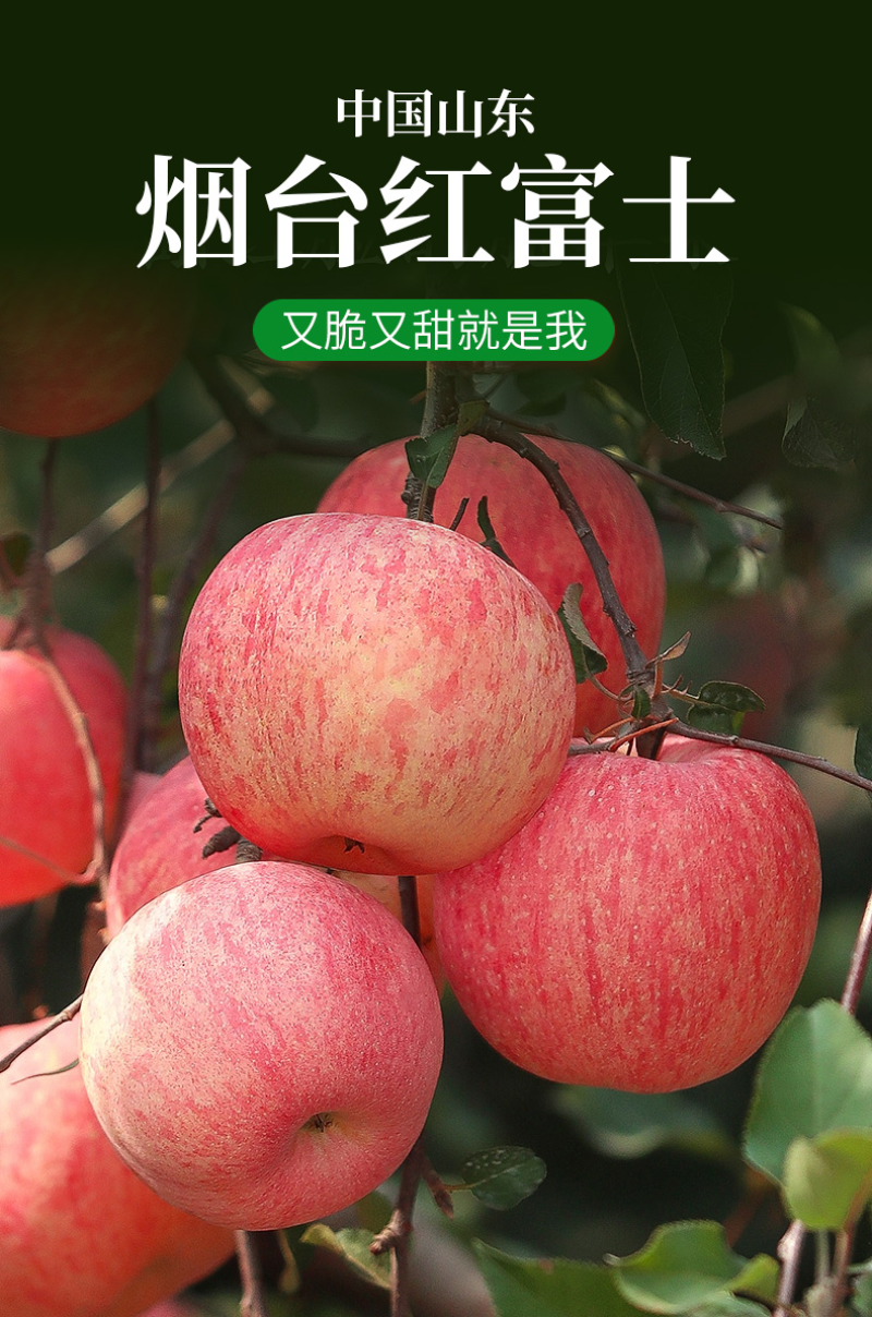 【热销】山东精品红富士苹果脆甜可口对接各大电商平台