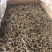 自家600多株茶树无科技狠活余茶批发