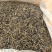 自家600多株茶树无科技狠活余茶批发
