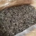 自家600多株茶树无科技狠活余茶批发