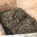 自家600多株茶树无科技狠活余茶批发