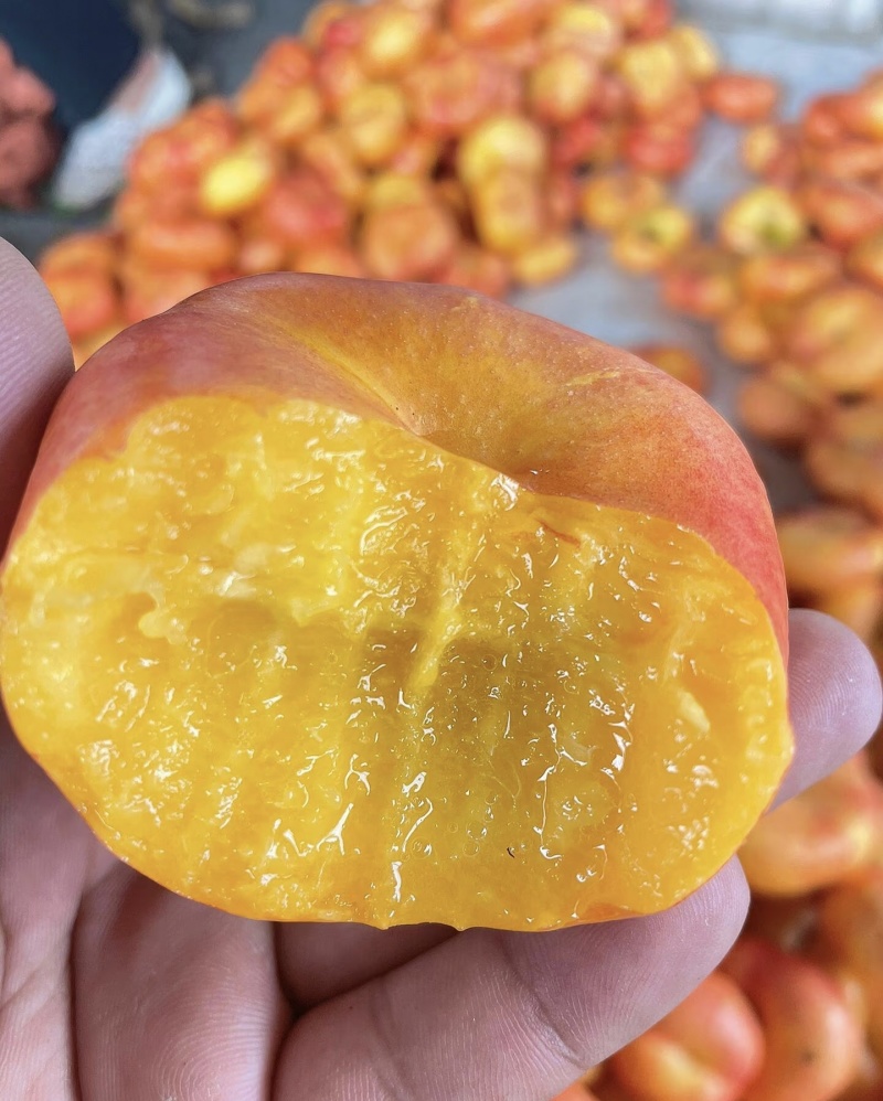黄油蟠桃