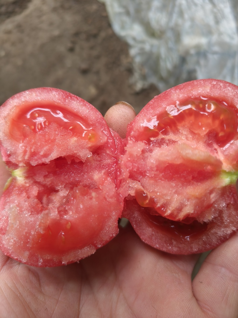 口感沙瓤大西红柿自产自销