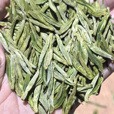 黄山毛峰兰香茶