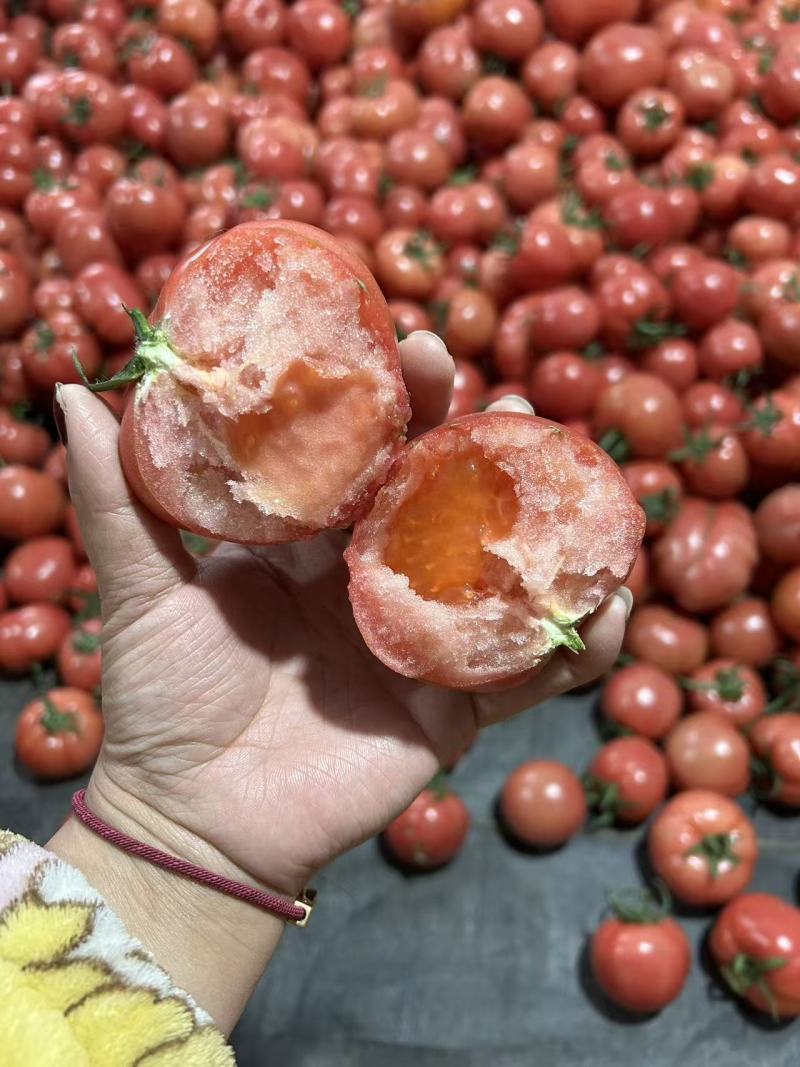 精品西红柿产地直销货源充足量大从优质量保证欢迎咨询
