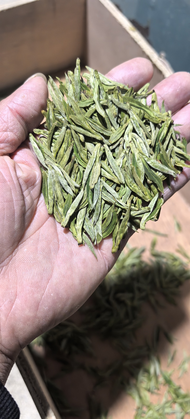 黄山毛峰兰香茶