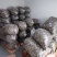 头茬羊肚菌六妹七妹统货鲜品干品10斤起包邮品质保证