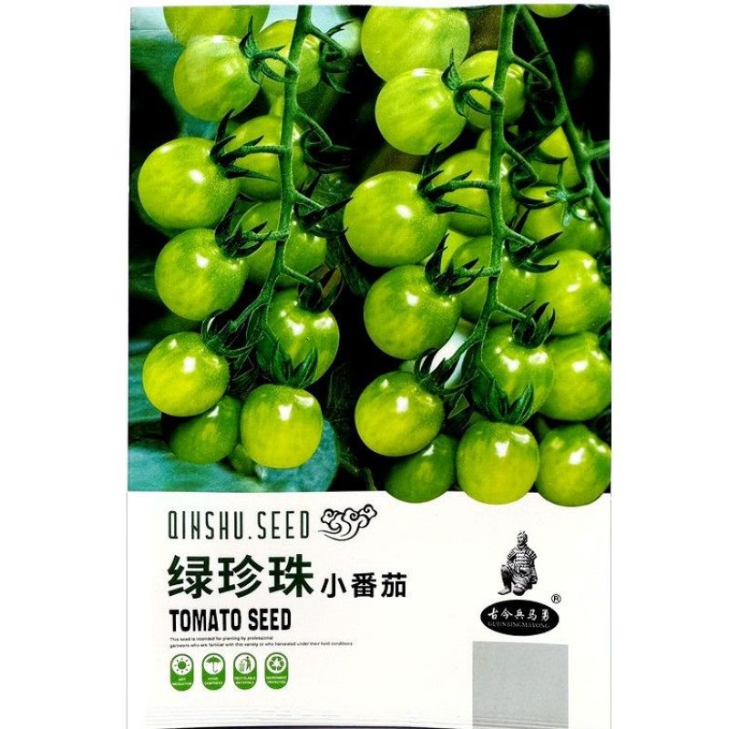 绿珍珠绿色小番茄种子樱桃番茄种籽酸甜浓郁特色小番茄水果种
