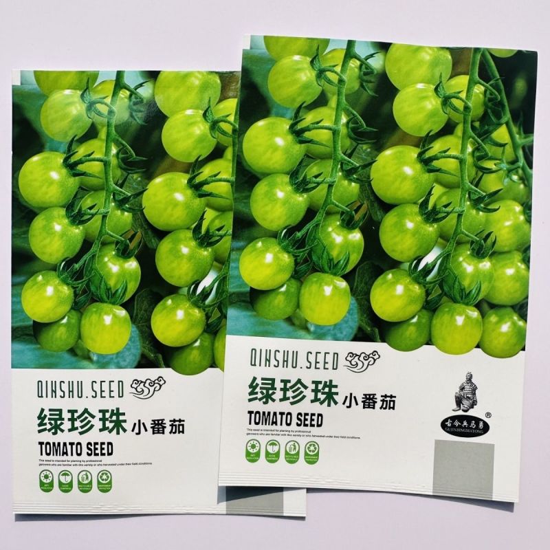 绿珍珠绿色小番茄种子樱桃番茄种籽酸甜浓郁特色小番茄水果种