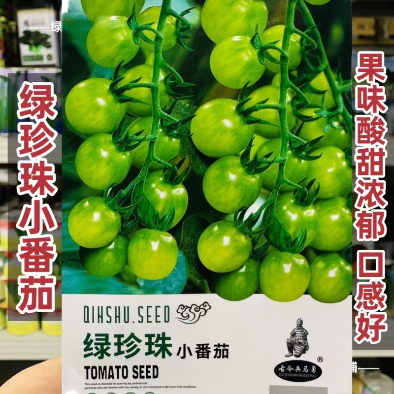 绿珍珠绿色小番茄种子樱桃番茄种籽酸甜浓郁特色小番茄水果种