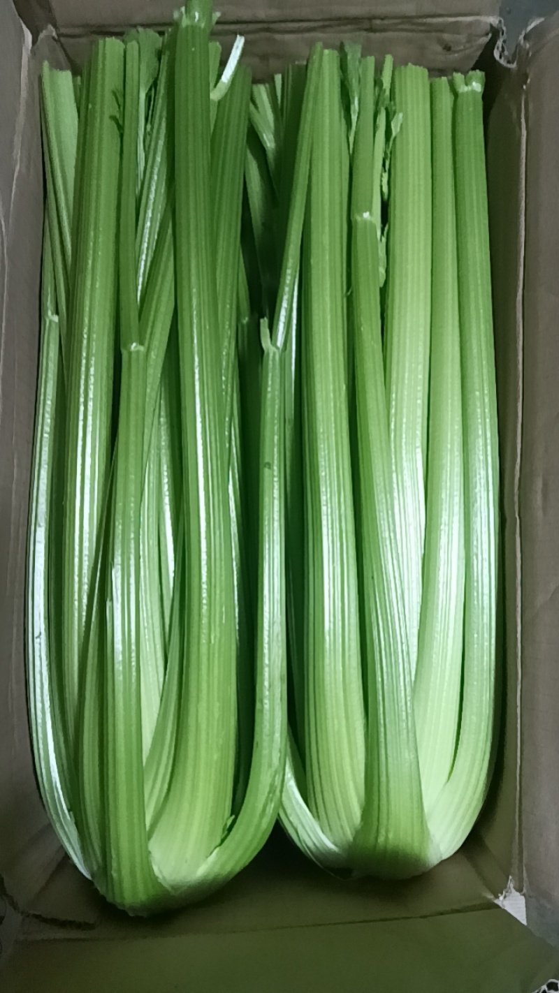 西芹凯撒大帝皇后超市精品商超市场批发零售