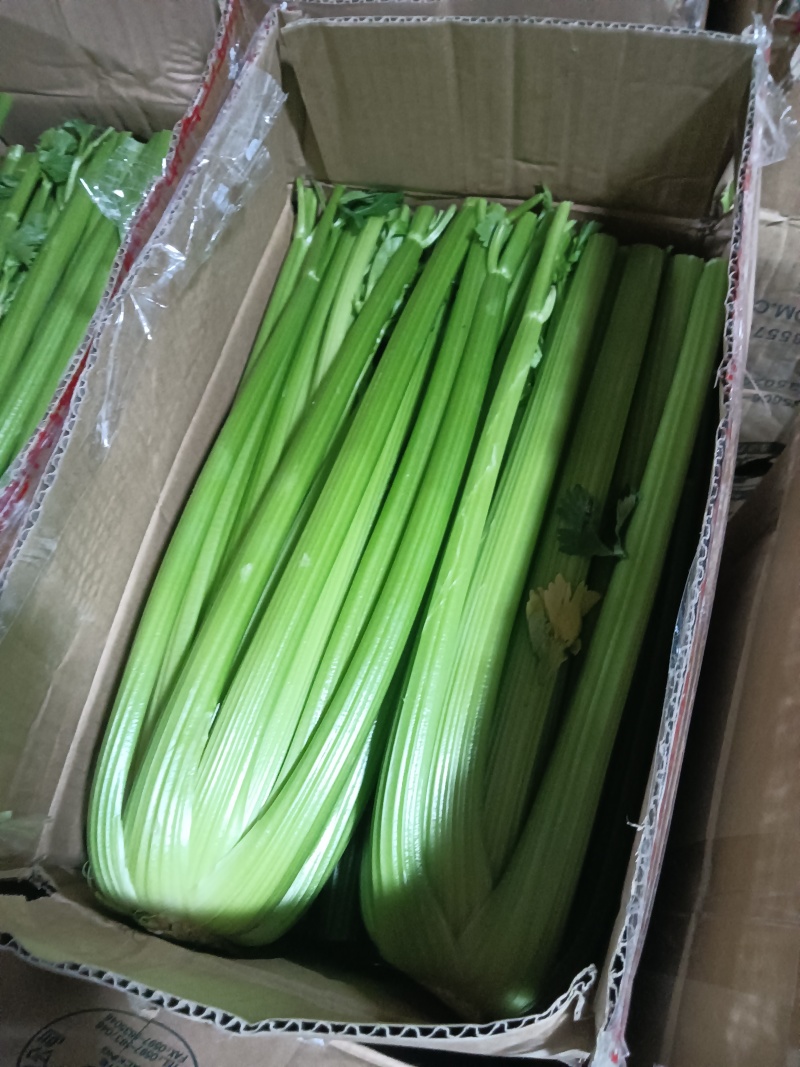 西芹凯撒大帝皇后超市精品商超市场批发零售