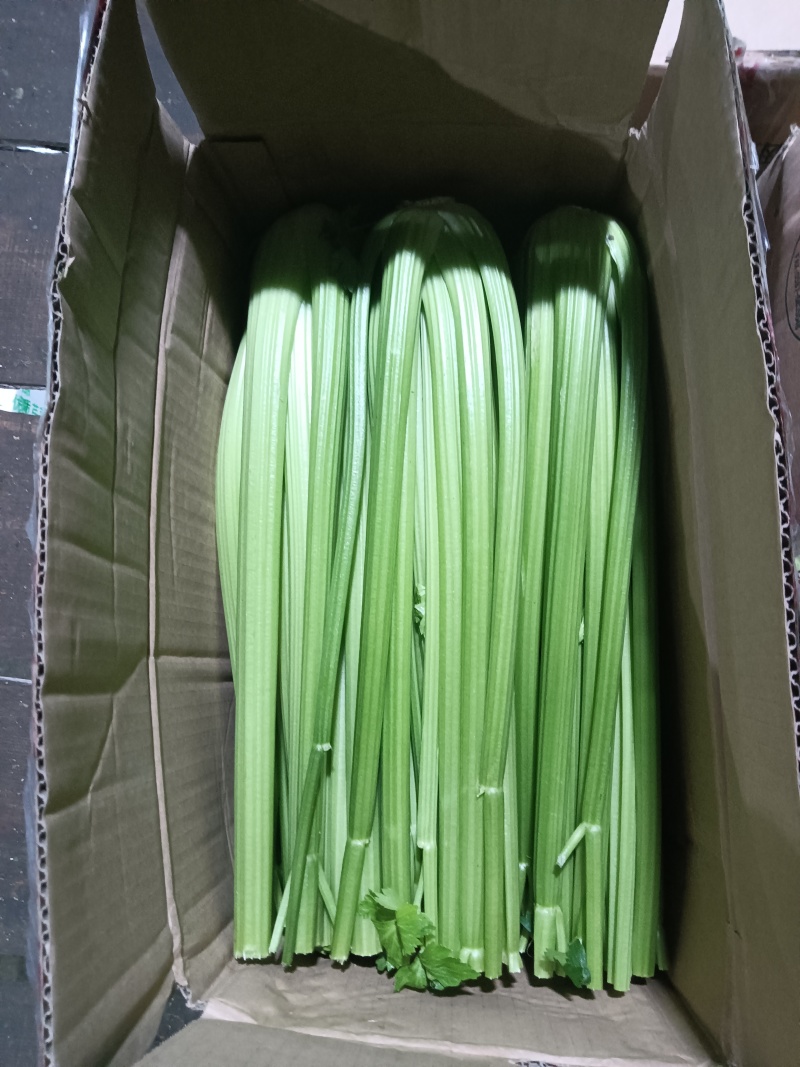西芹凯撒大帝皇后超市精品商超市场批发零售