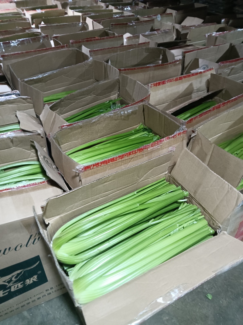 西芹凯撒大帝皇后超市精品商超市场批发零售