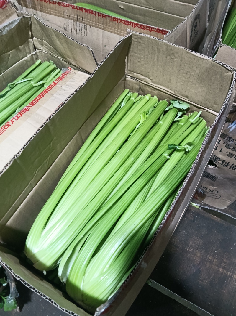 西芹凯撒大帝皇后超市精品商超市场批发零售