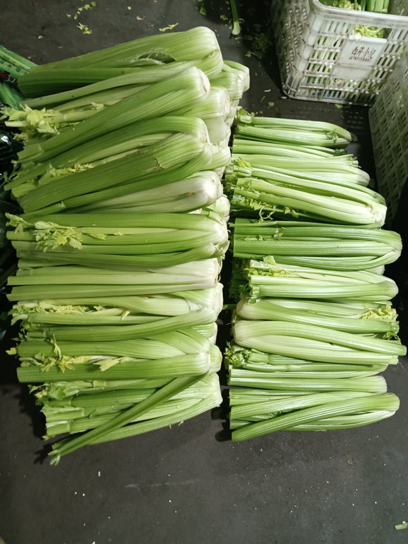 西芹凯撒大帝皇后超市精品商超市场批发零售