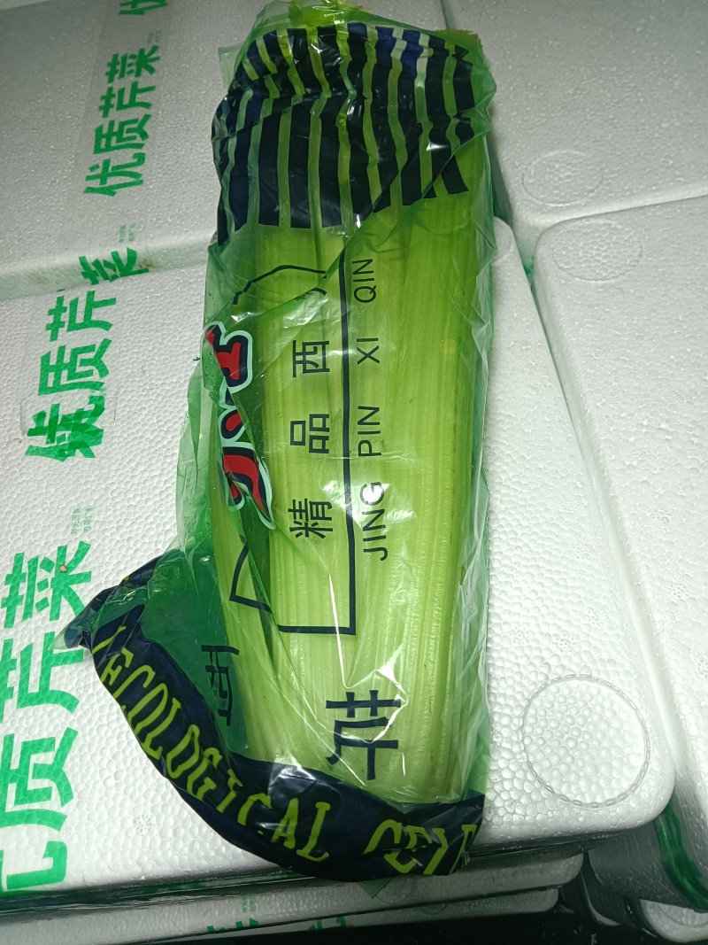 西芹凯撒大帝皇后超市精品商超市场批发零售