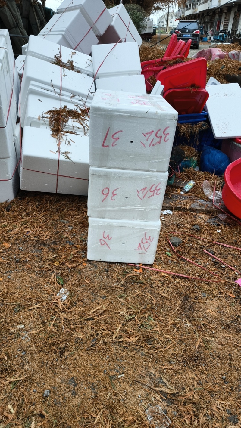 大闸蟹大量供应中对接市场电商规格齐全品质保证欢迎下单订购