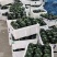 嫩南瓜大量上市，直供批发、量大