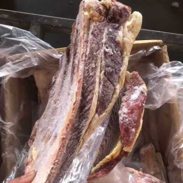 满肉黄膘牛肋排，瘦度好