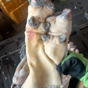 半去骨牛蹄