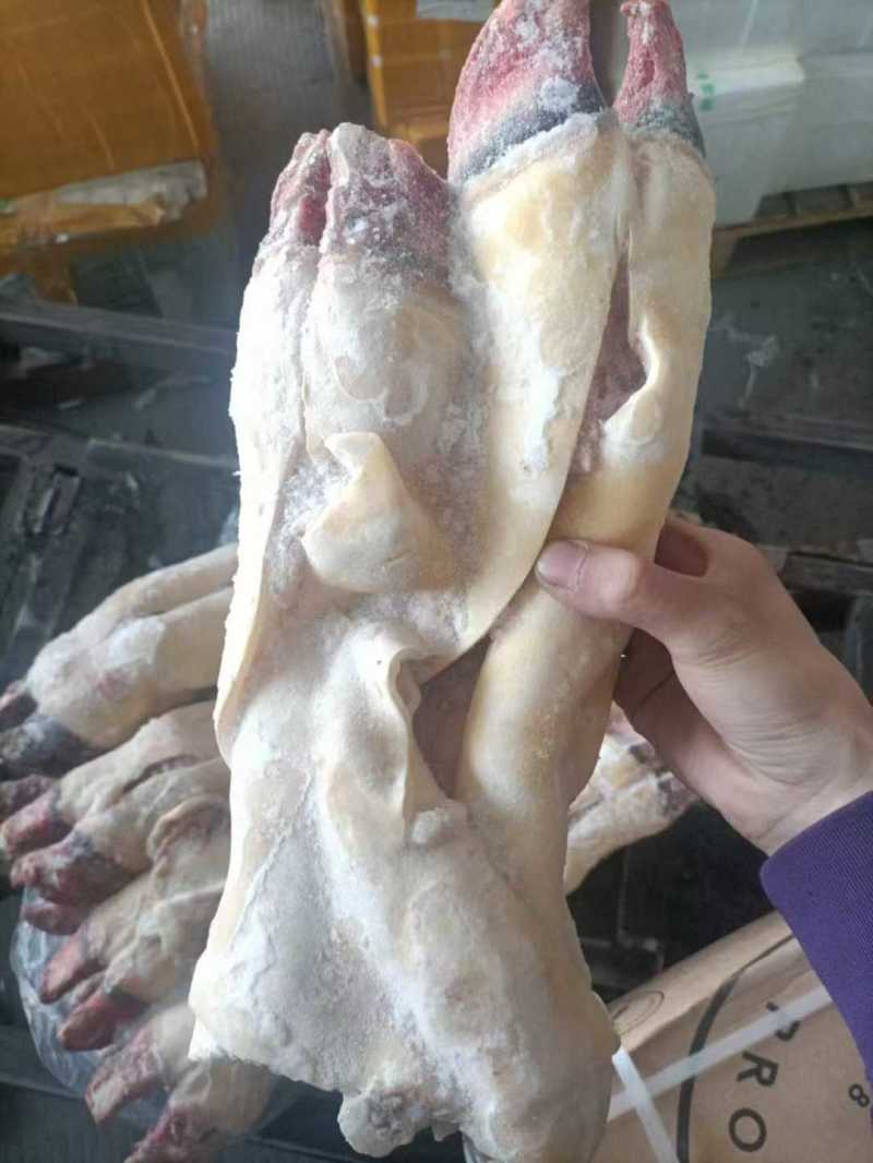 半去骨牛蹄