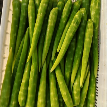 真空莴笋肉