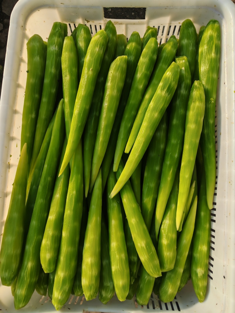 真空莴笋肉