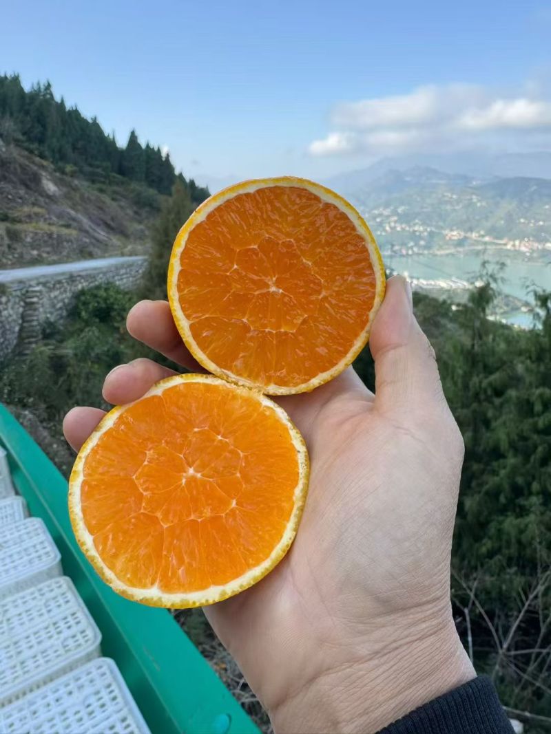 产地直发，货源充足，值得信赖