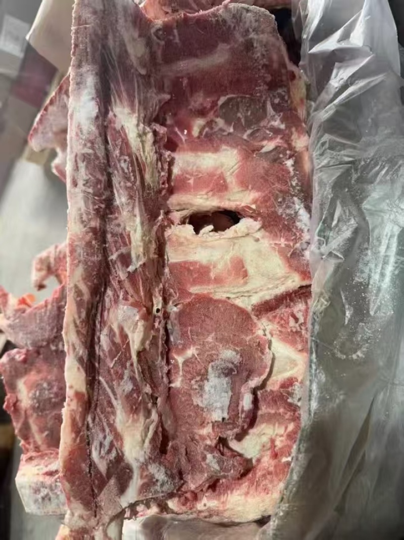 牛腰椎骨