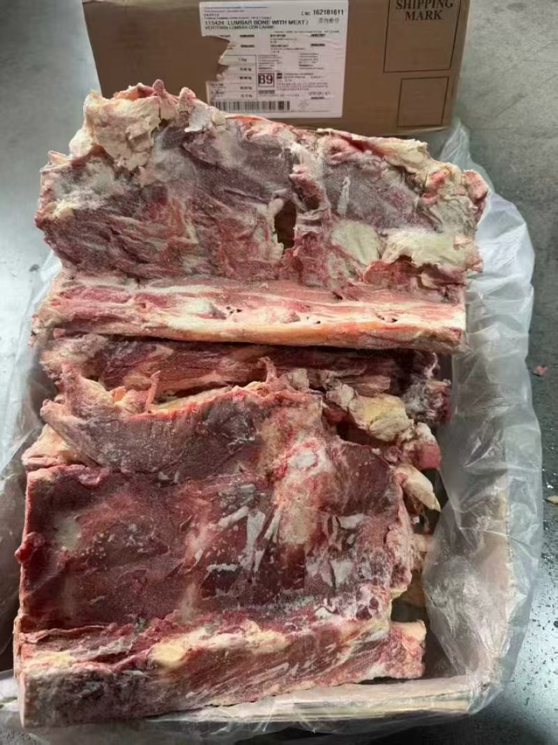 牛腰椎骨