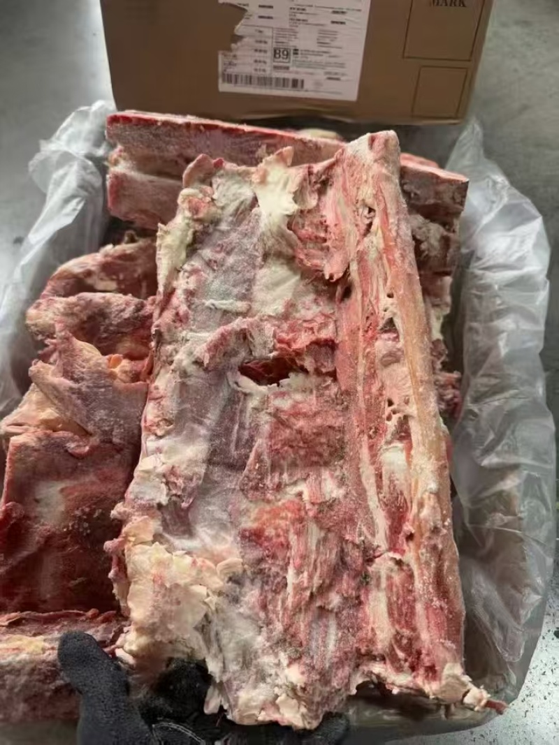 牛腰椎骨