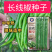 长线椒种子早中熟坐果集中辣味适中南北方均可种植