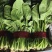 【热卖】莘县精品大叶菠菜种植基地现挖现发新鲜大量上市