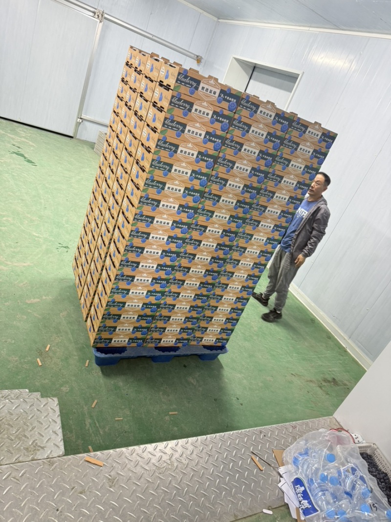 丹东蓝莓精品8合一价格美丽全国发货欢迎选购