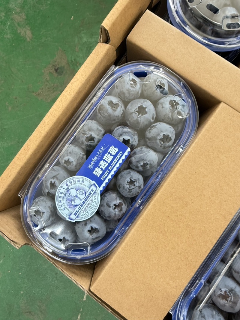 丹东蓝莓精品8合一价格美丽全国发货欢迎选购
